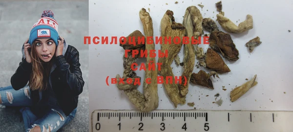 стафф Абинск