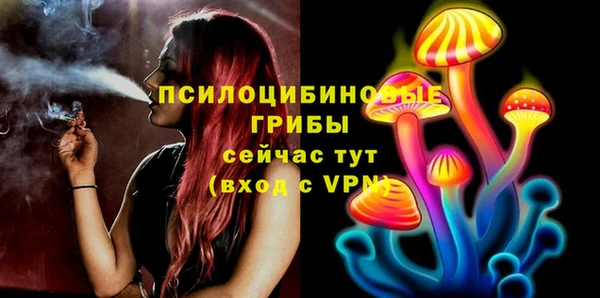 прущая мука Няндома